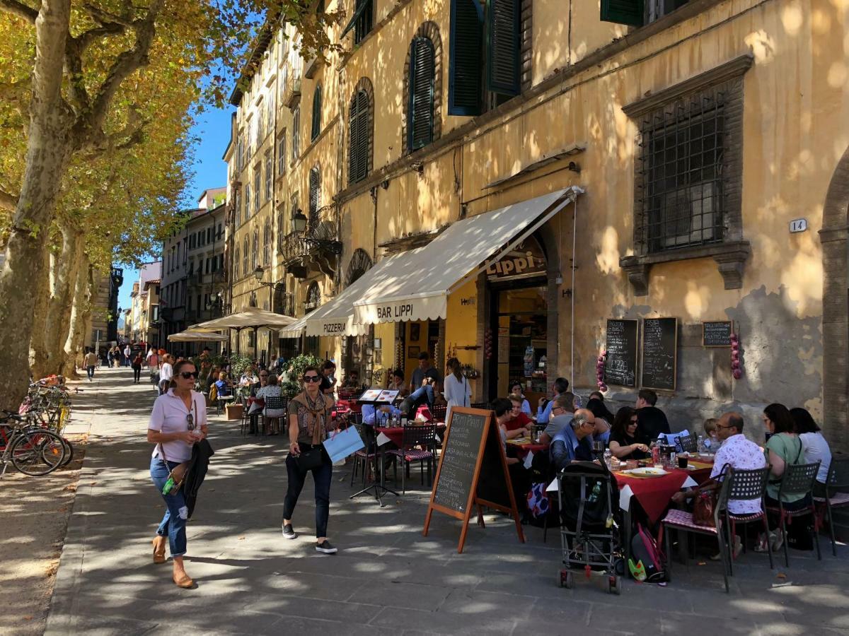 Storico Loft Nel Cuore Di Lucca Exteriér fotografie
